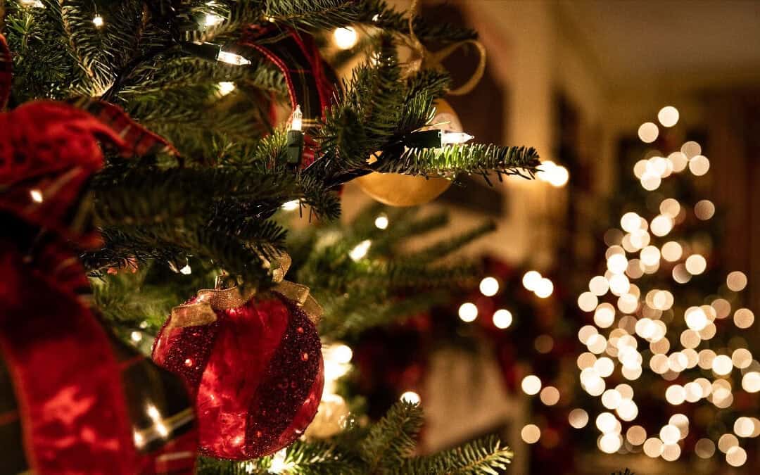 Happy Christmas!
